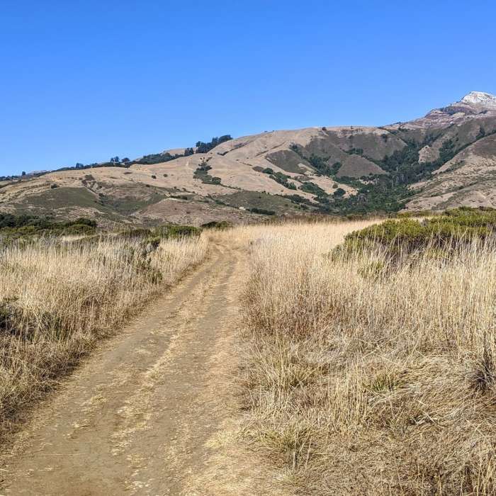 Near Creamery Meadow Trail