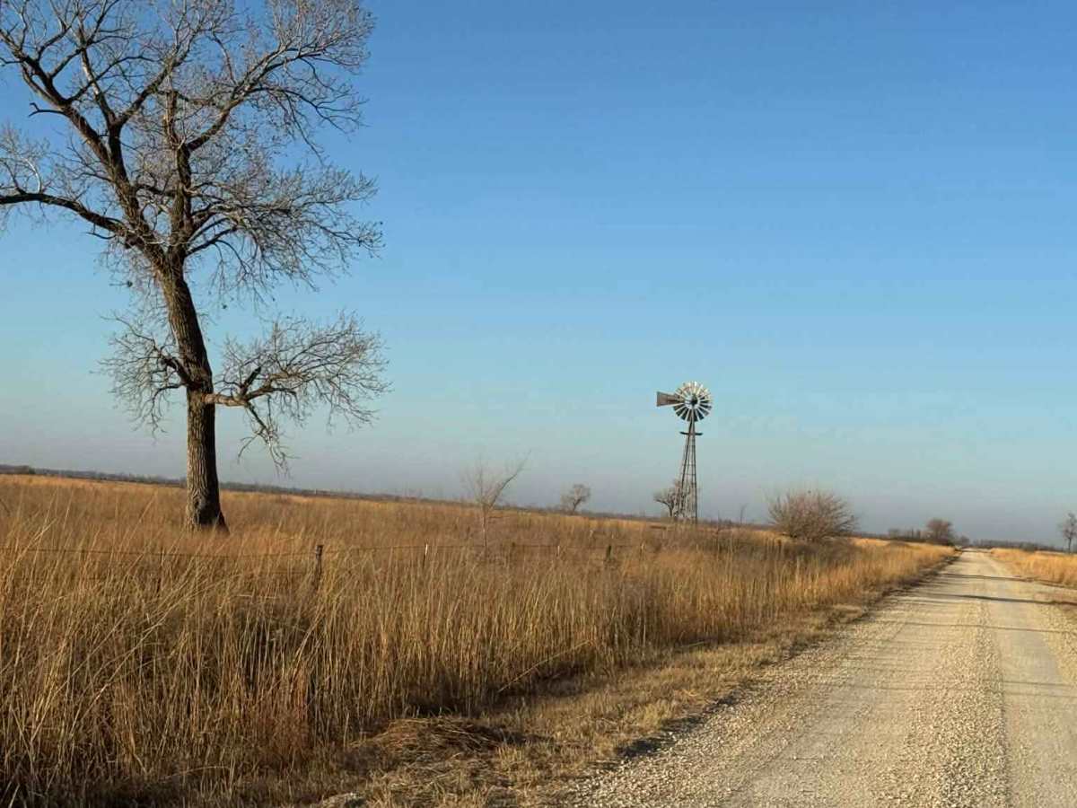 Big Salt Marsh Road photo 5