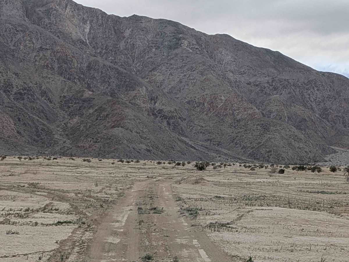 BLM 198 photo 4