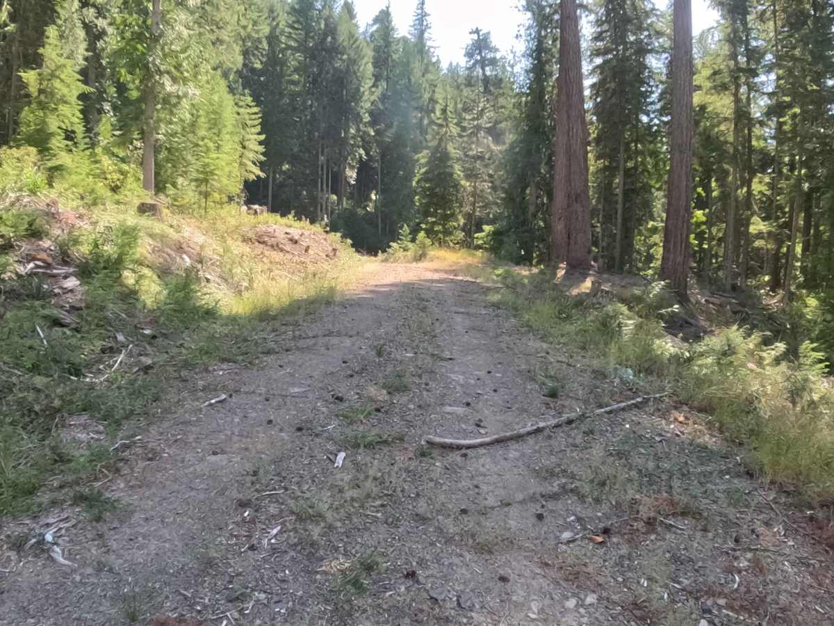 FS 2047774 photo 2