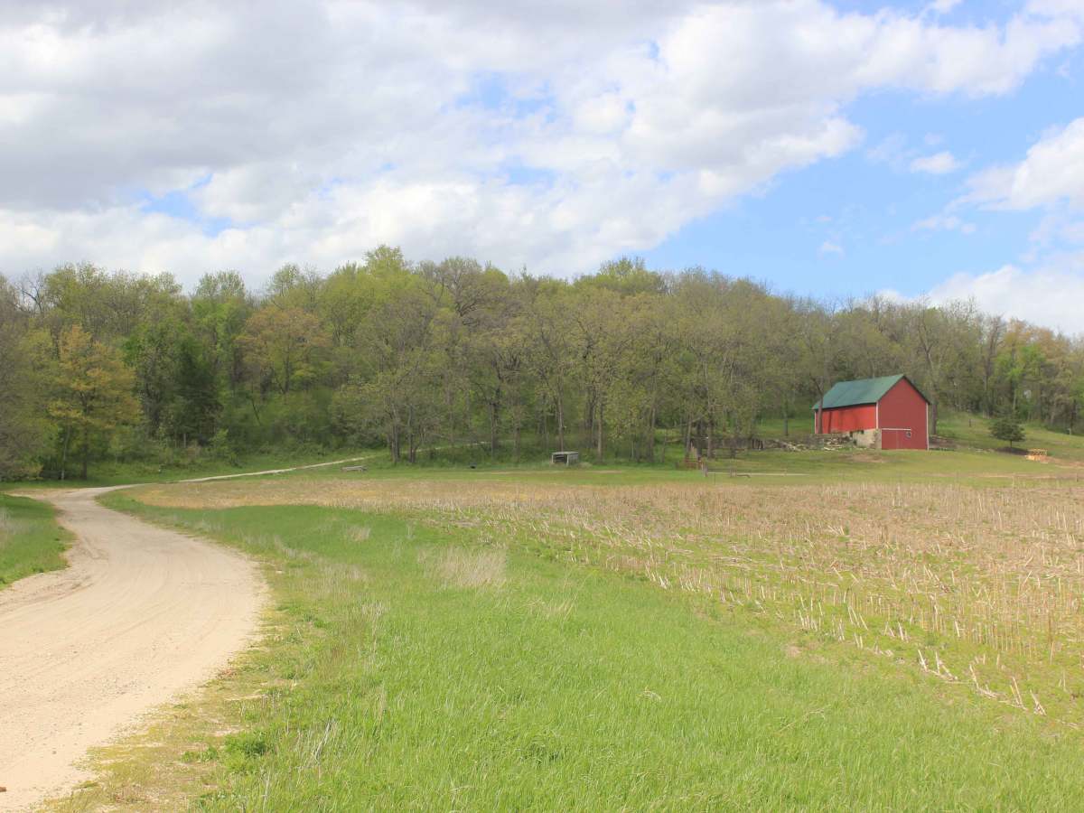 Big Springs Old Log Road photo 3
