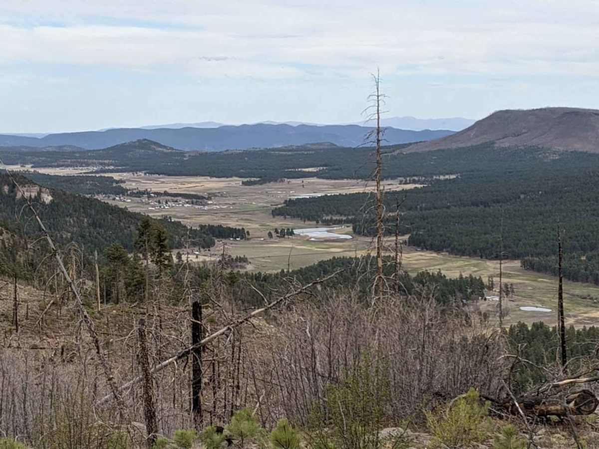 Noble Mountain photo 5