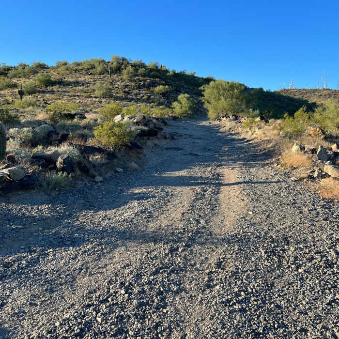Near Shaw Butte Trail