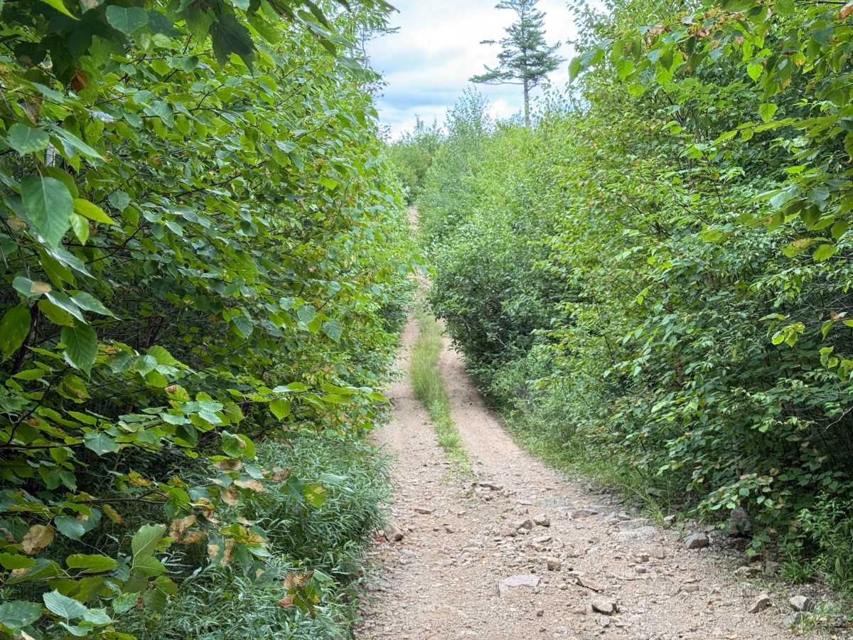 Trout Lake Road photo 4
