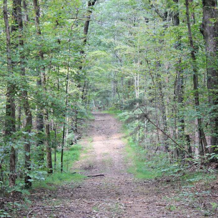 Look close!! Near North Loop