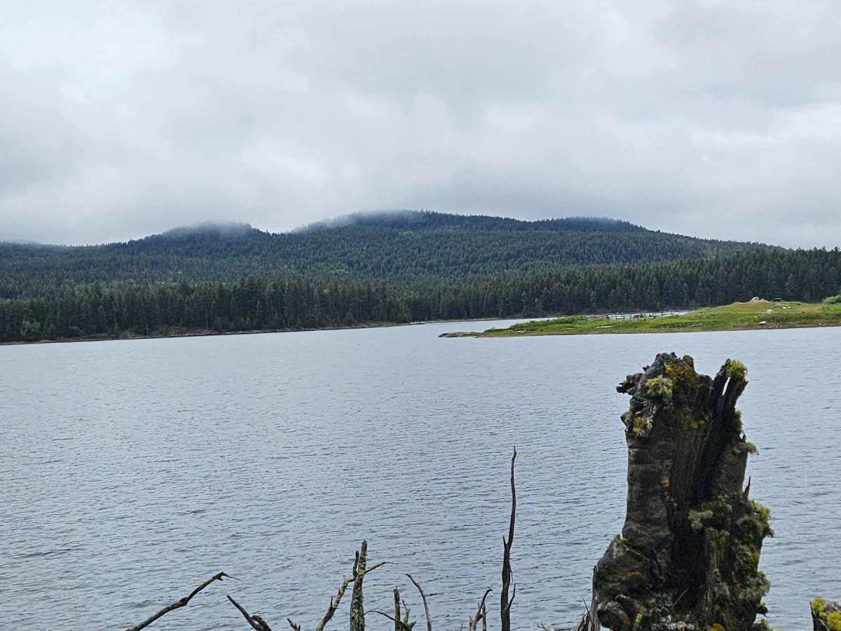Scuitto Lake Road photo 4