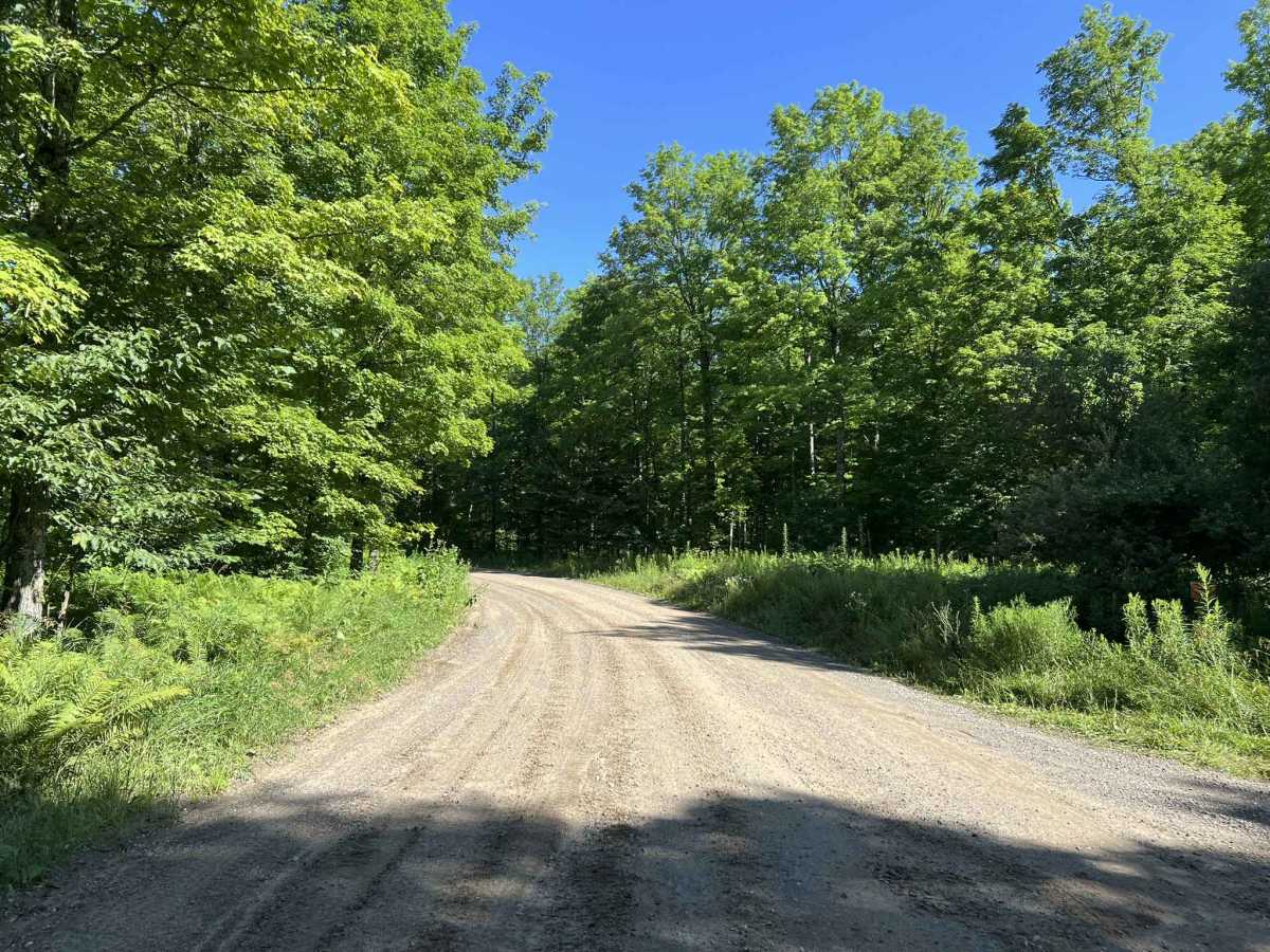 Morgan Lake Road - FS 2161 photo 2
