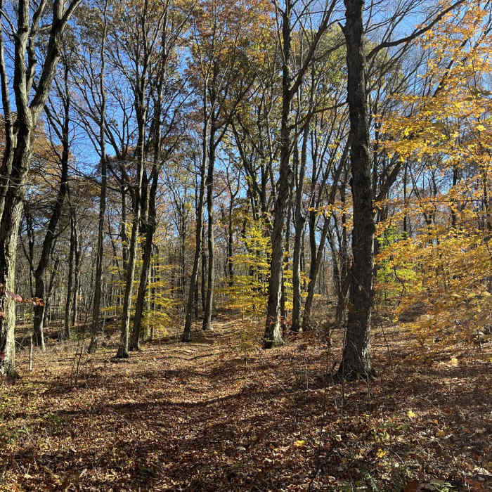 Near Deer Park Loop Near Deer Park Loop