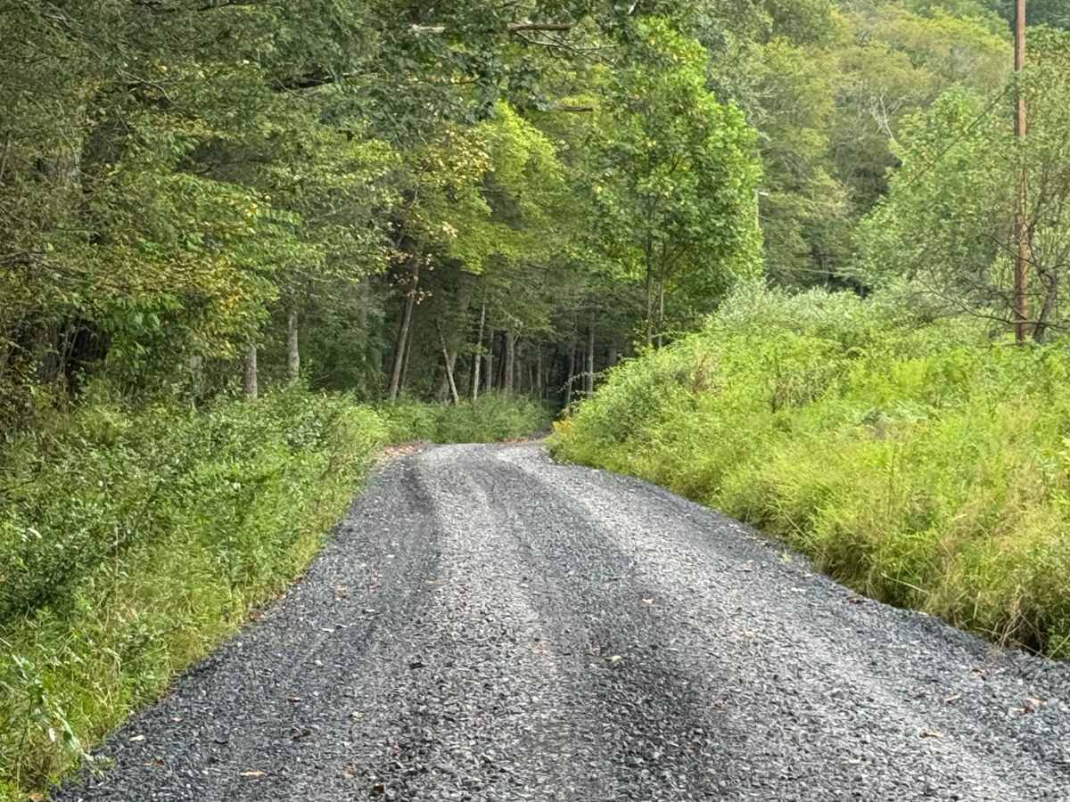 Upper Grays Run Road photo 2