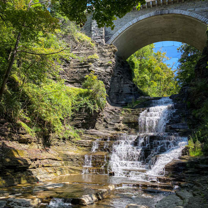 Near Cascadilla Gorge Trail