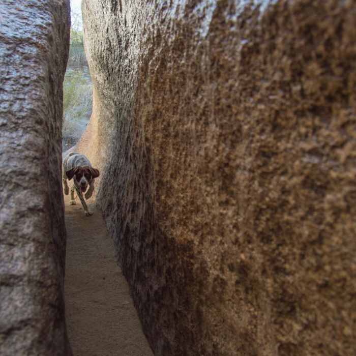 Near Fat Man's Pass via National Trail