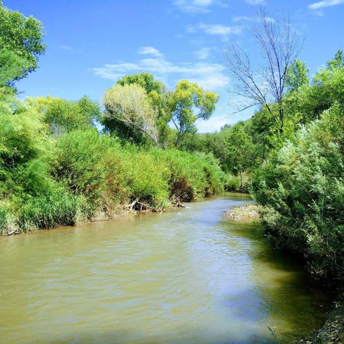 Near San Francisco Hot Springs
