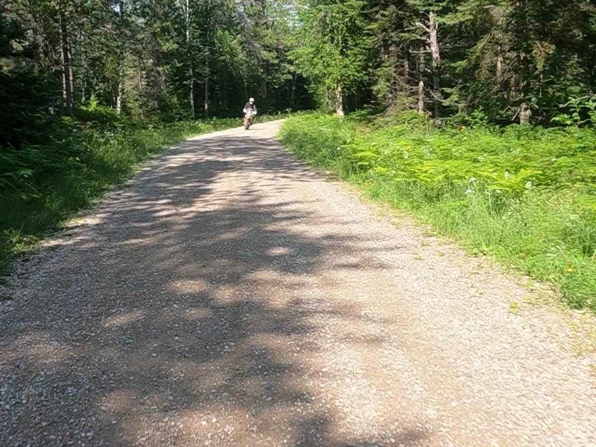Mormon Creek Road - FSR 2231 photo 3