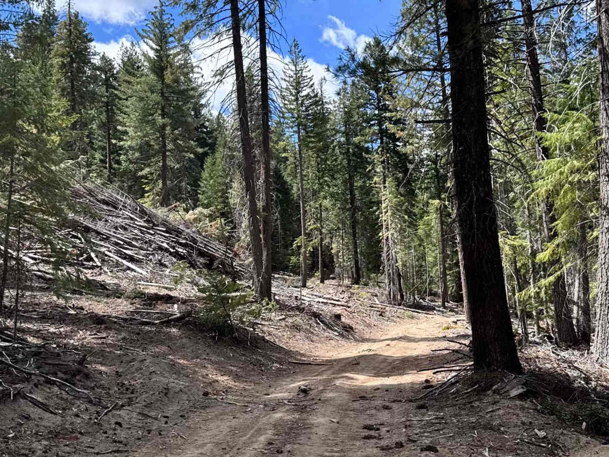 FS 4504000 trail photo