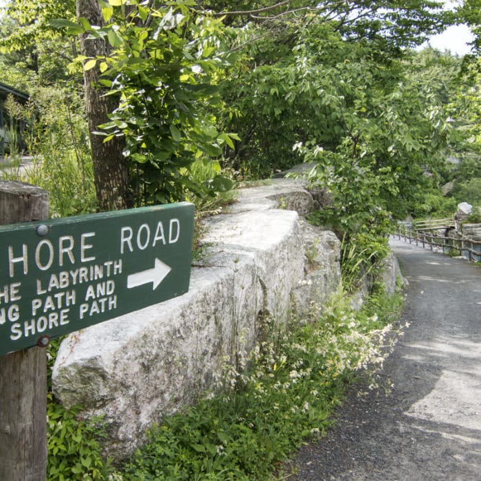 Near Labyrinth + Lemon Squeeze