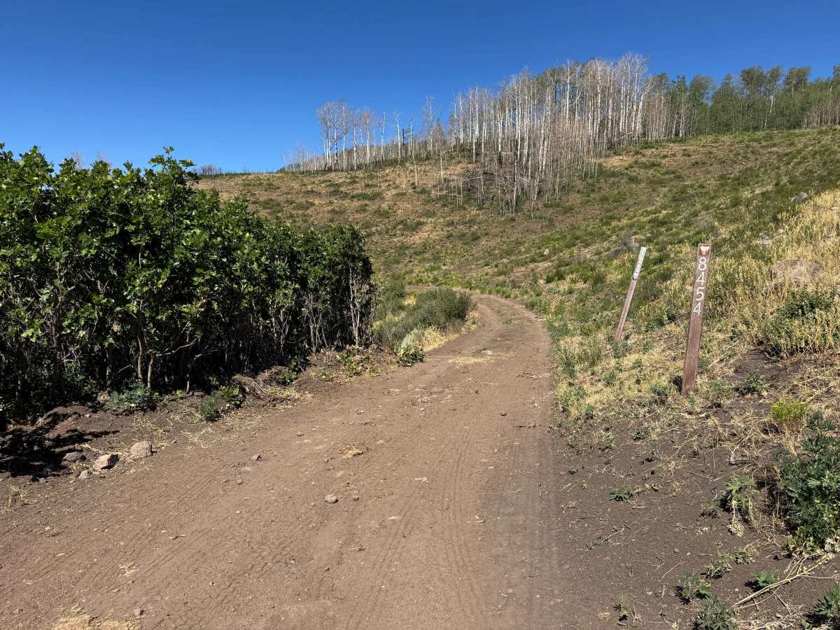 BLM 8454 trail photo