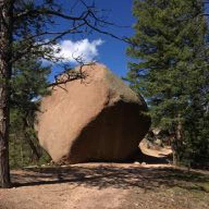 Near Little Scraggy Trail