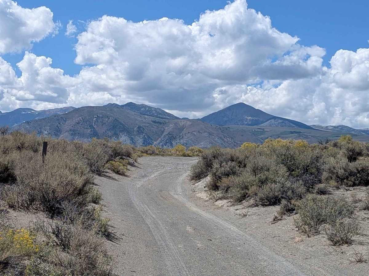FS 2N19 trail photo