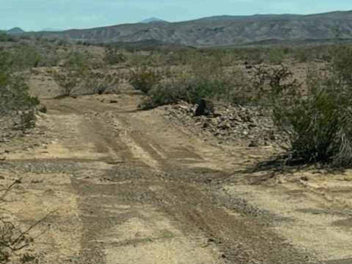 BLM PE1025 trail photo