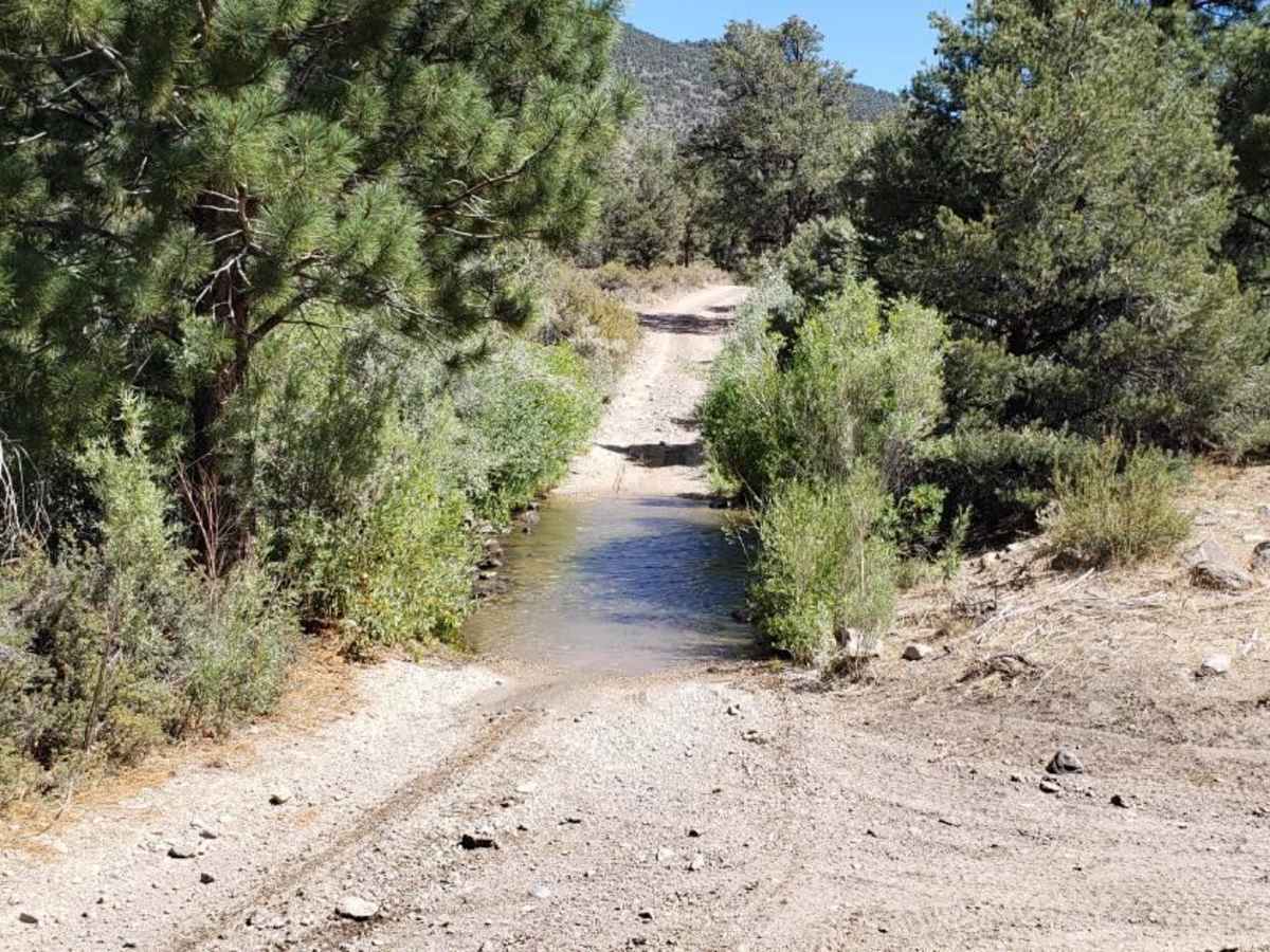 Desert Creek Loop photo 4