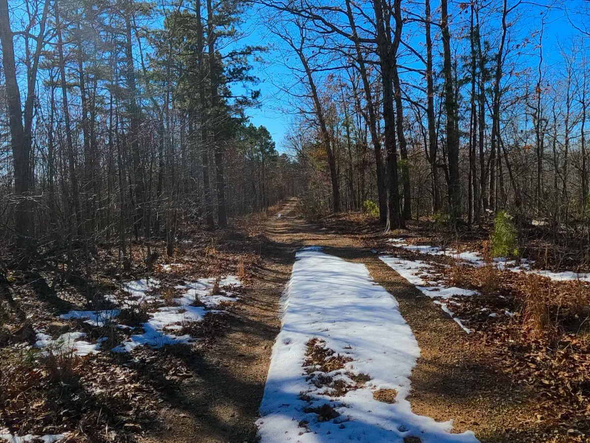 Buzzard Ridge - FS 2677 photo 3