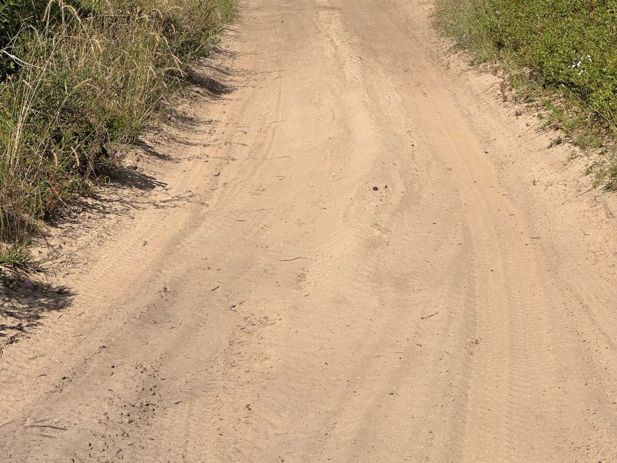 Hughes Cutover photo 4