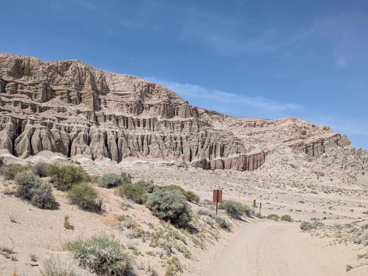 Tuft Point Road trail photo