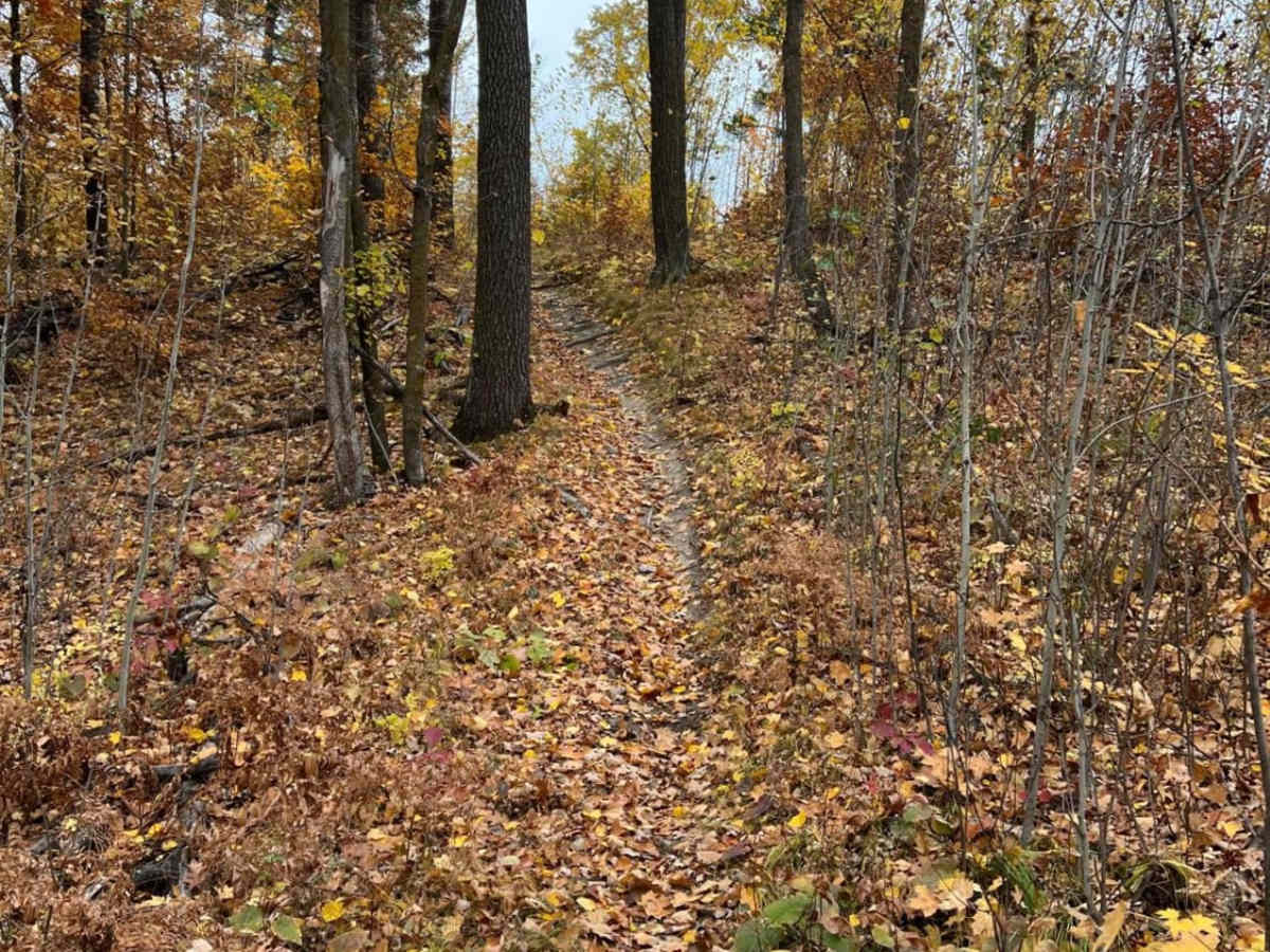 Paul Bunyan North Loop Saga photo 3