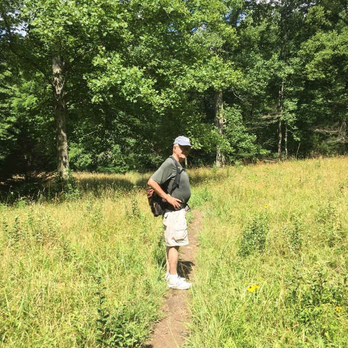 Part of the trail goes through a sunny meadow filled with wildflowers in the warmer months. Near Coon Den Falls and Appalachian Trail Loop