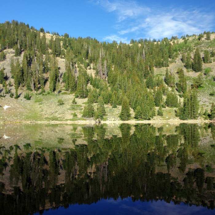 Near Alpine Lakes Loop