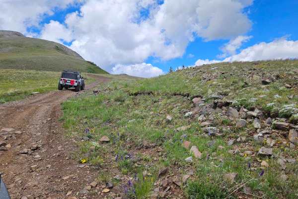 Greyback Road