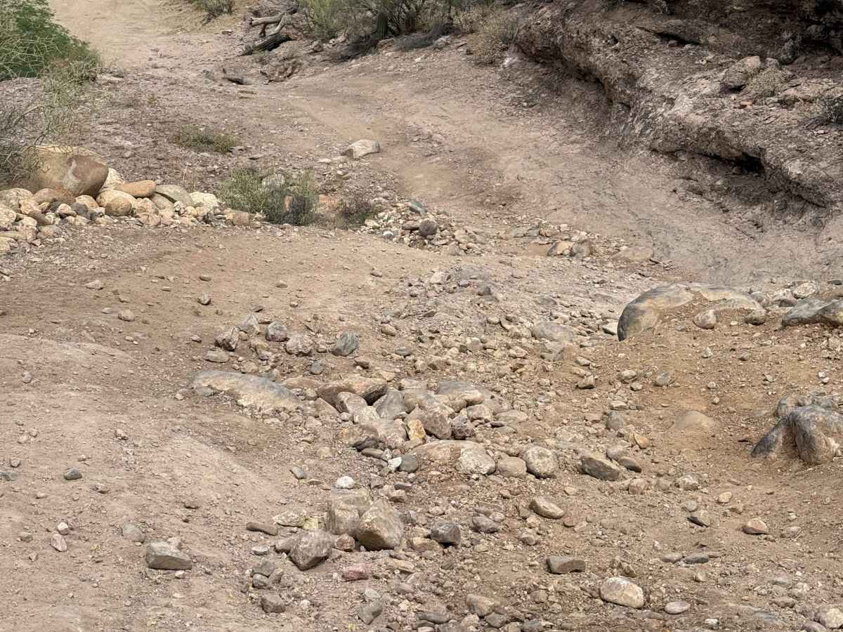 BLM 28072 photo 3