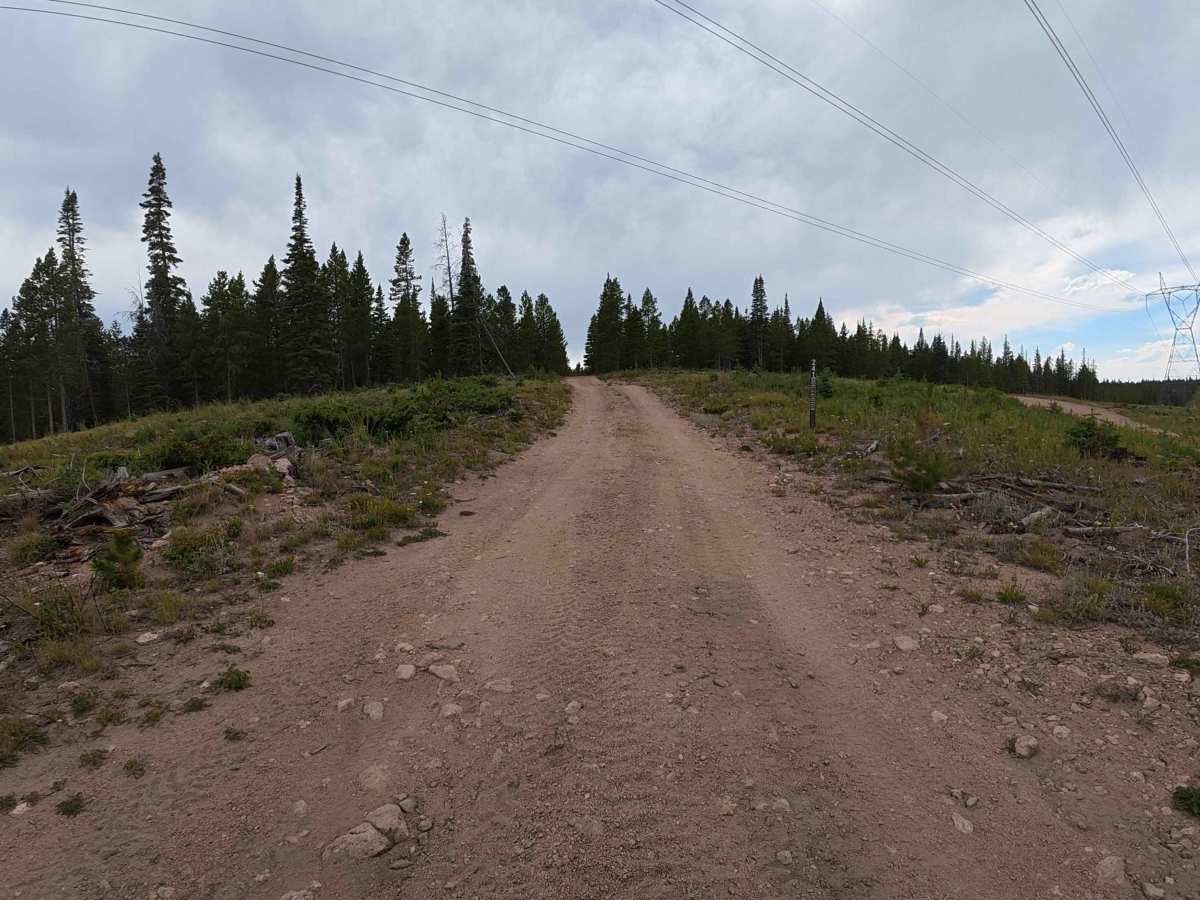 Sawmill Road - FS 241 trail photo