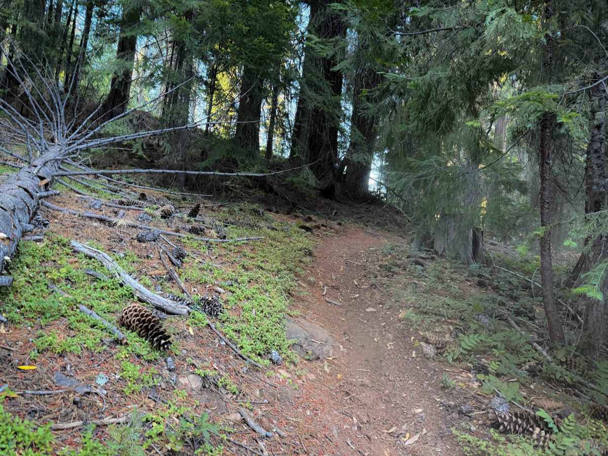 Sunshine OHV #22 photo 5