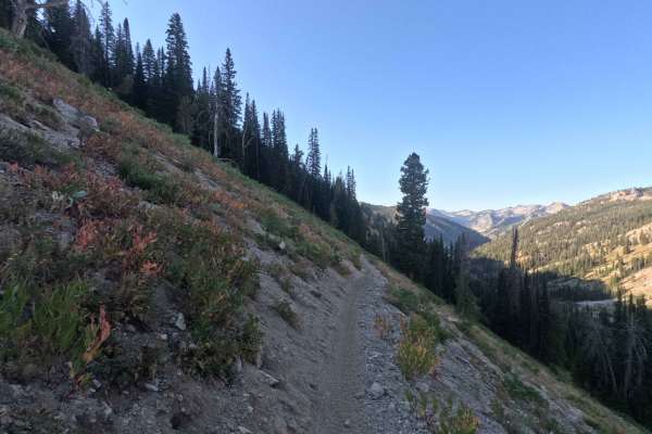 North Fork Ross Fork - FS 7226