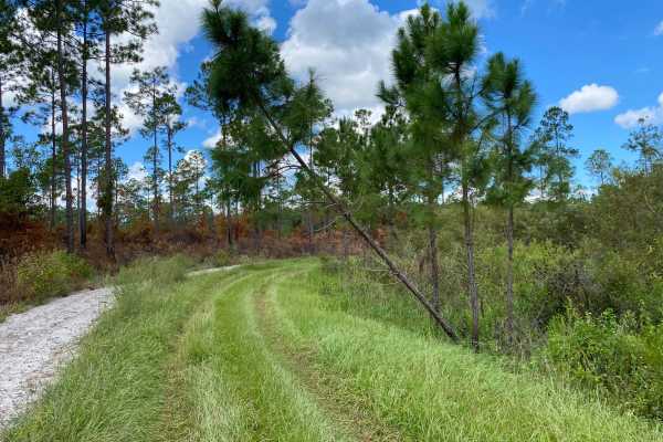 Turtle Pond Road