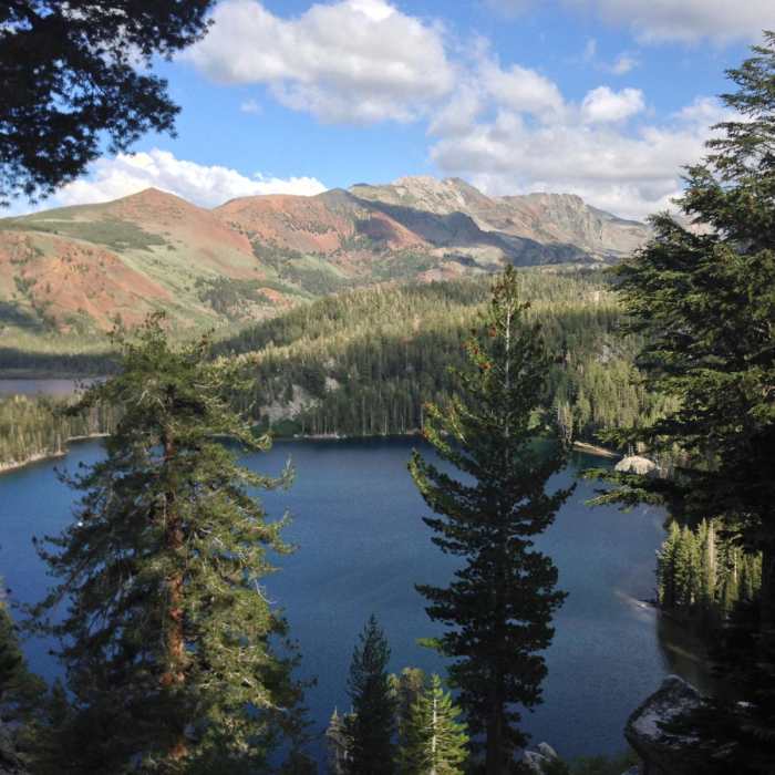 Near Mammoth Crest Trail
