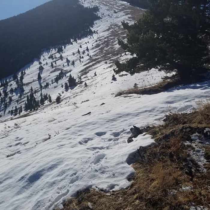 Near Highwood Baldy Out-and-Back