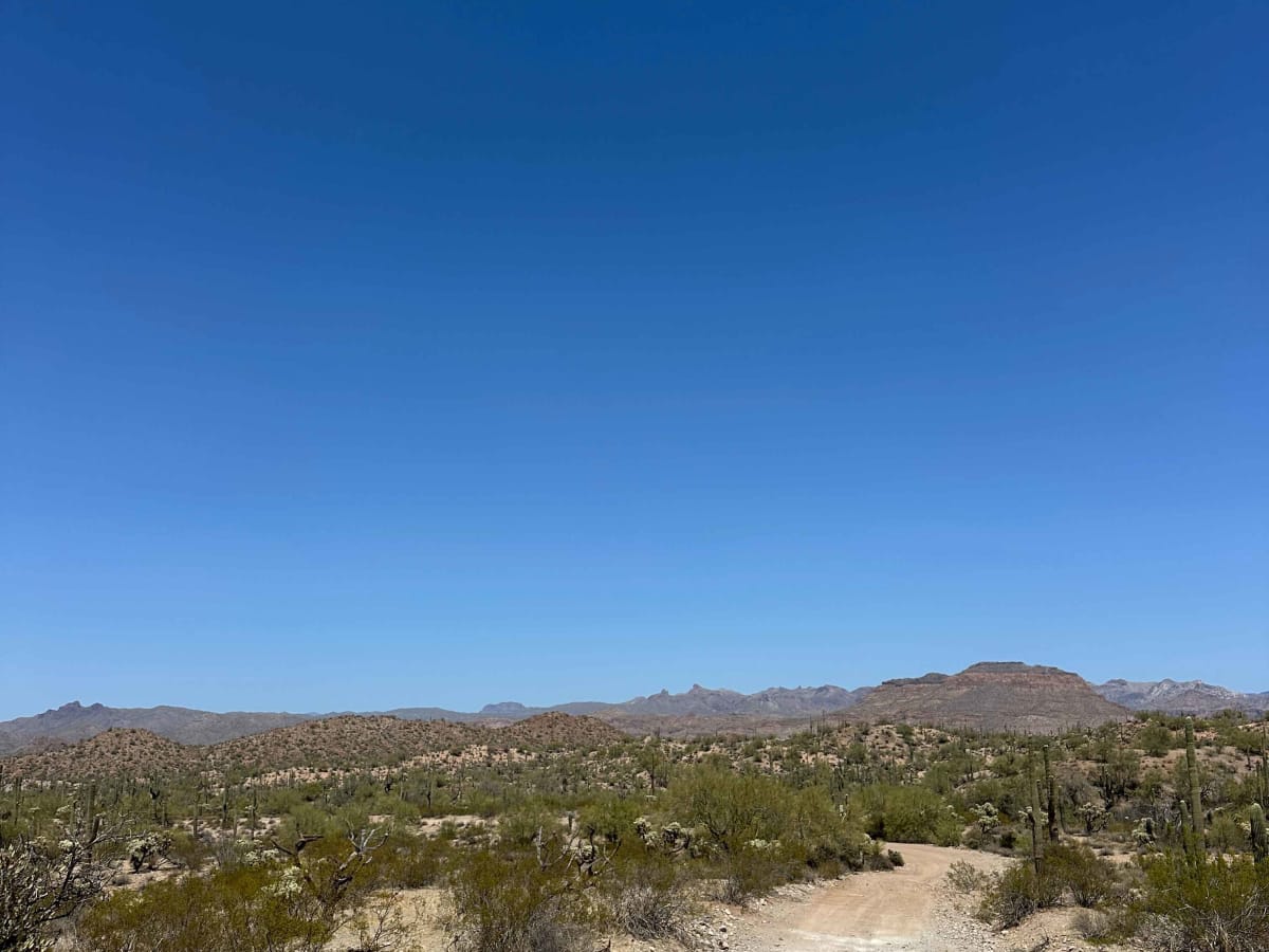 Whitlow Ranch Road photo 5