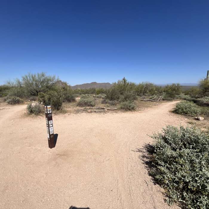 Near Wild Horse - Stinger Loop Near Wild Horse - Stinger Loop