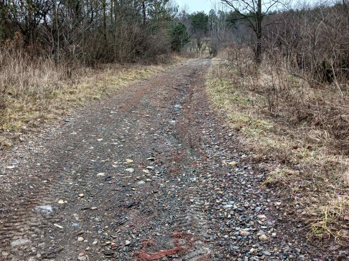 Trail 5E - Rock Run Recreation Area photo 2