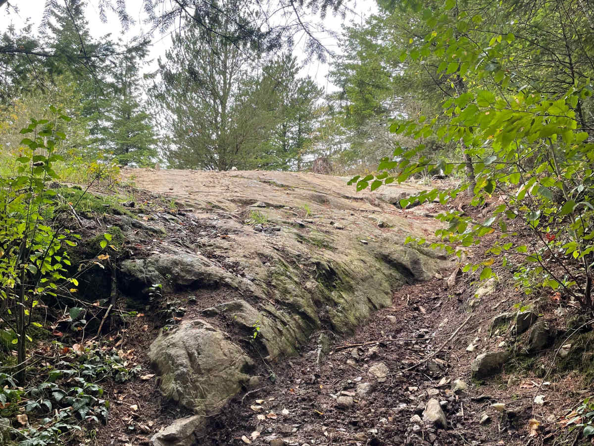 View Point trail photo