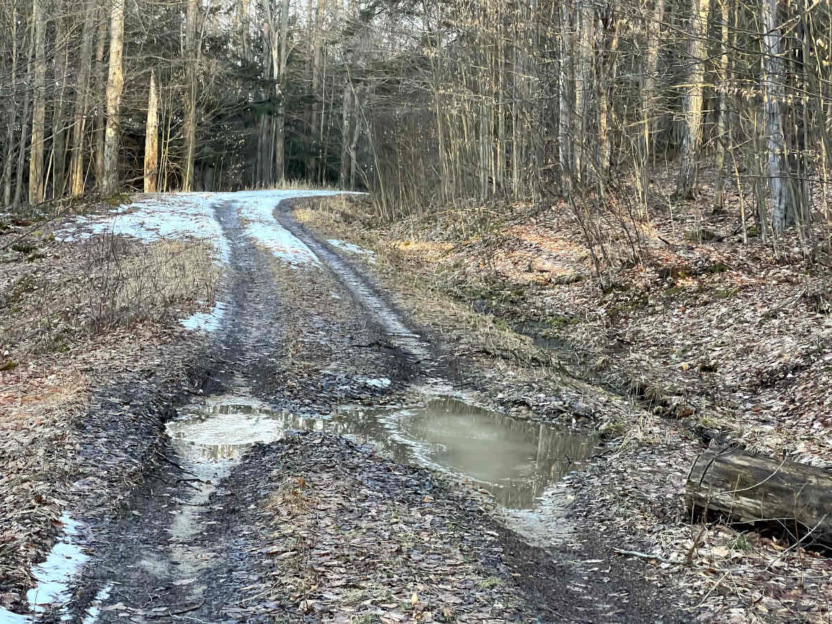 Meade Run Trail - FS 457A photo 3