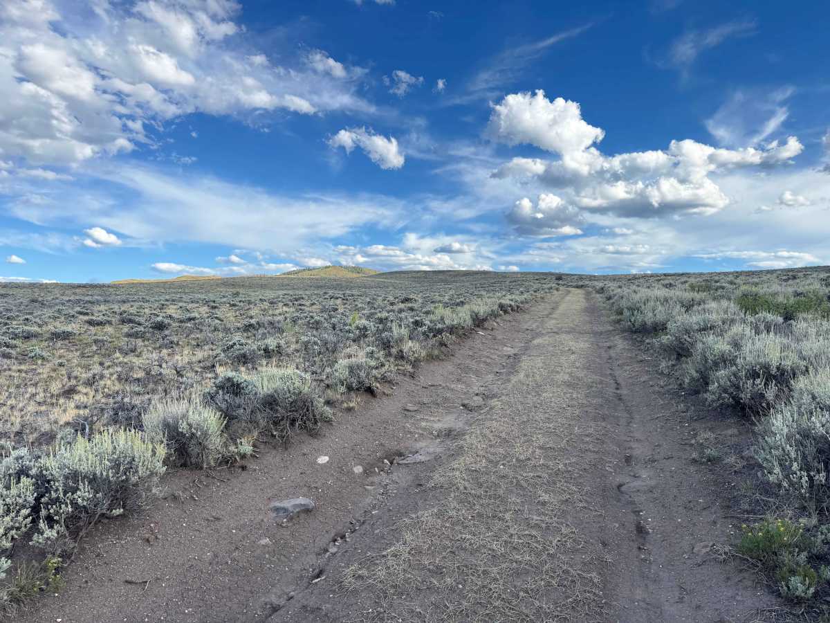 BLM 8530  photo 4