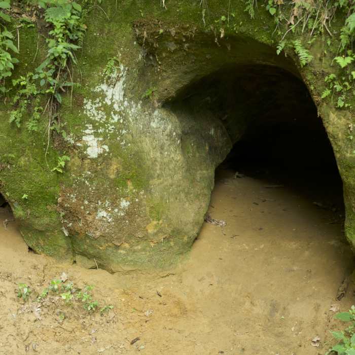 Near Lower Picnic Area Trail