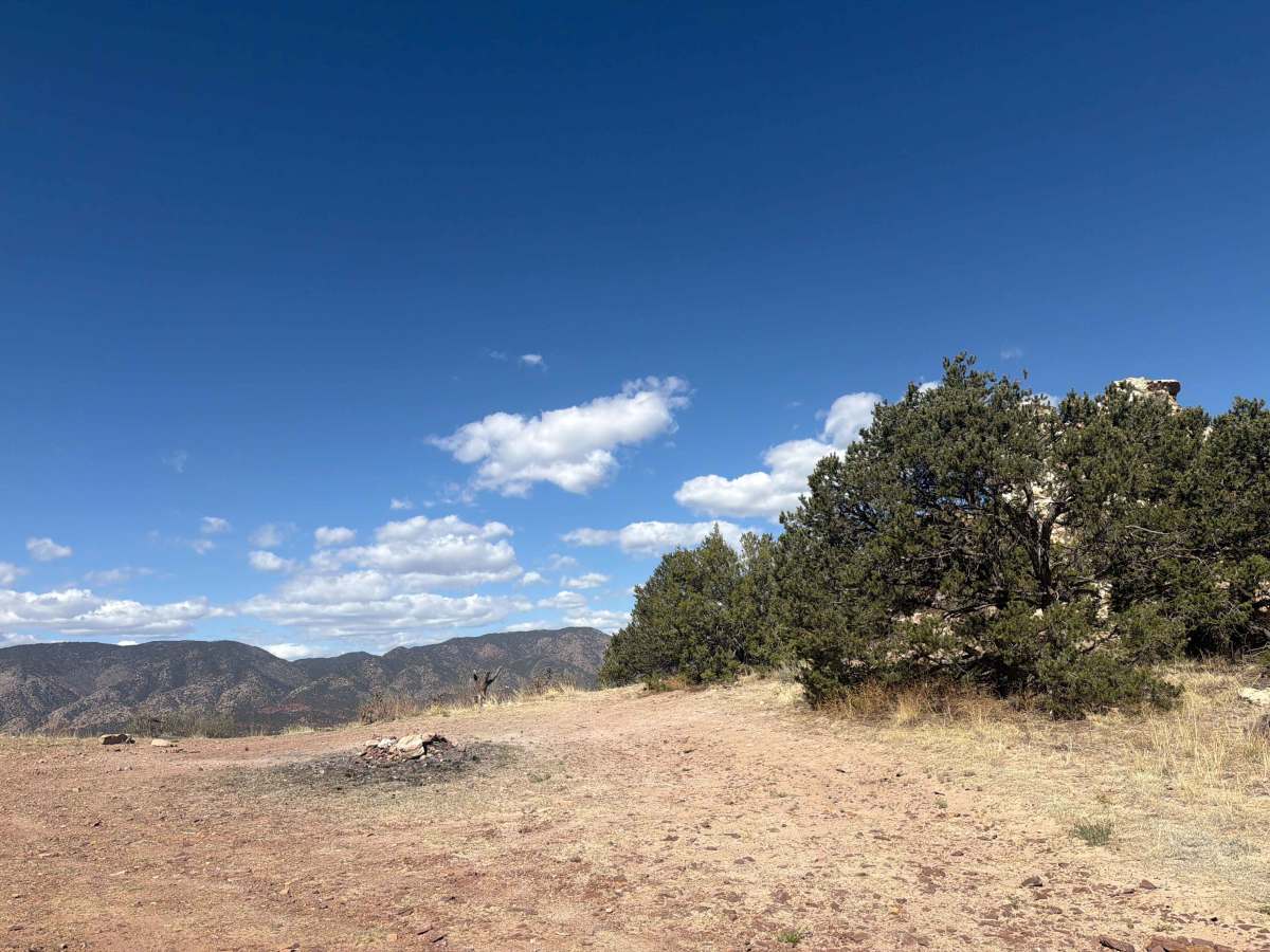 BLM 5935D photo 4