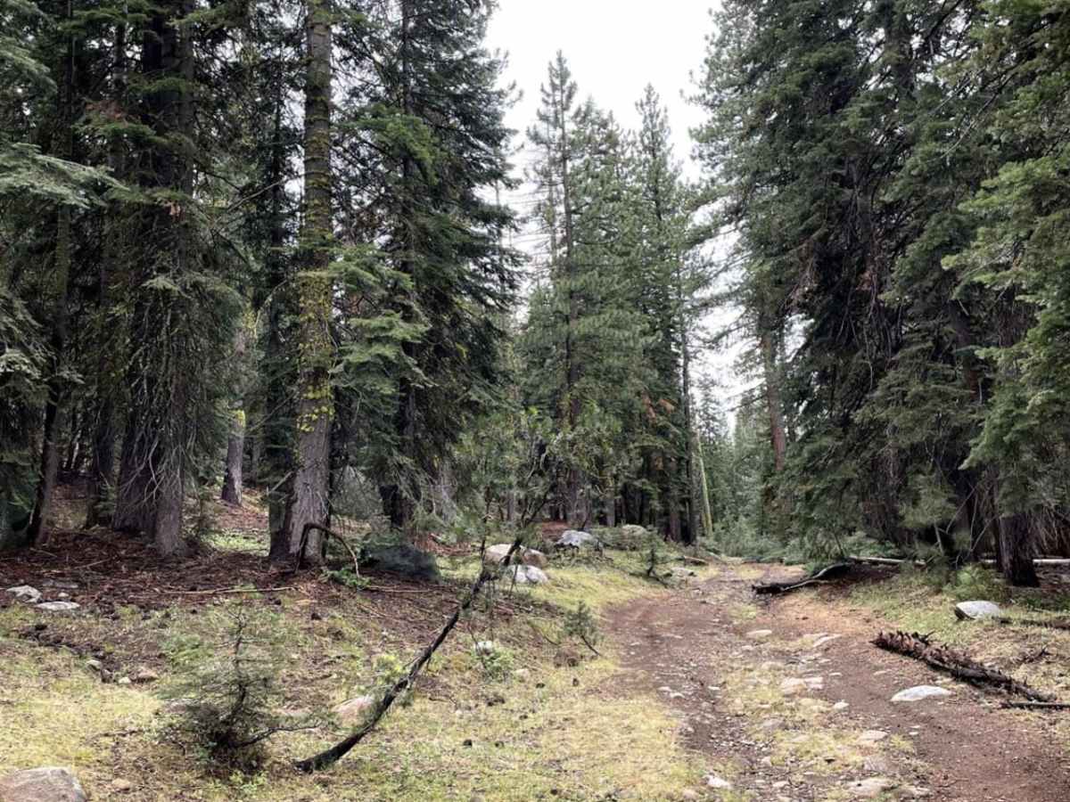 Sapps Hill photo 4