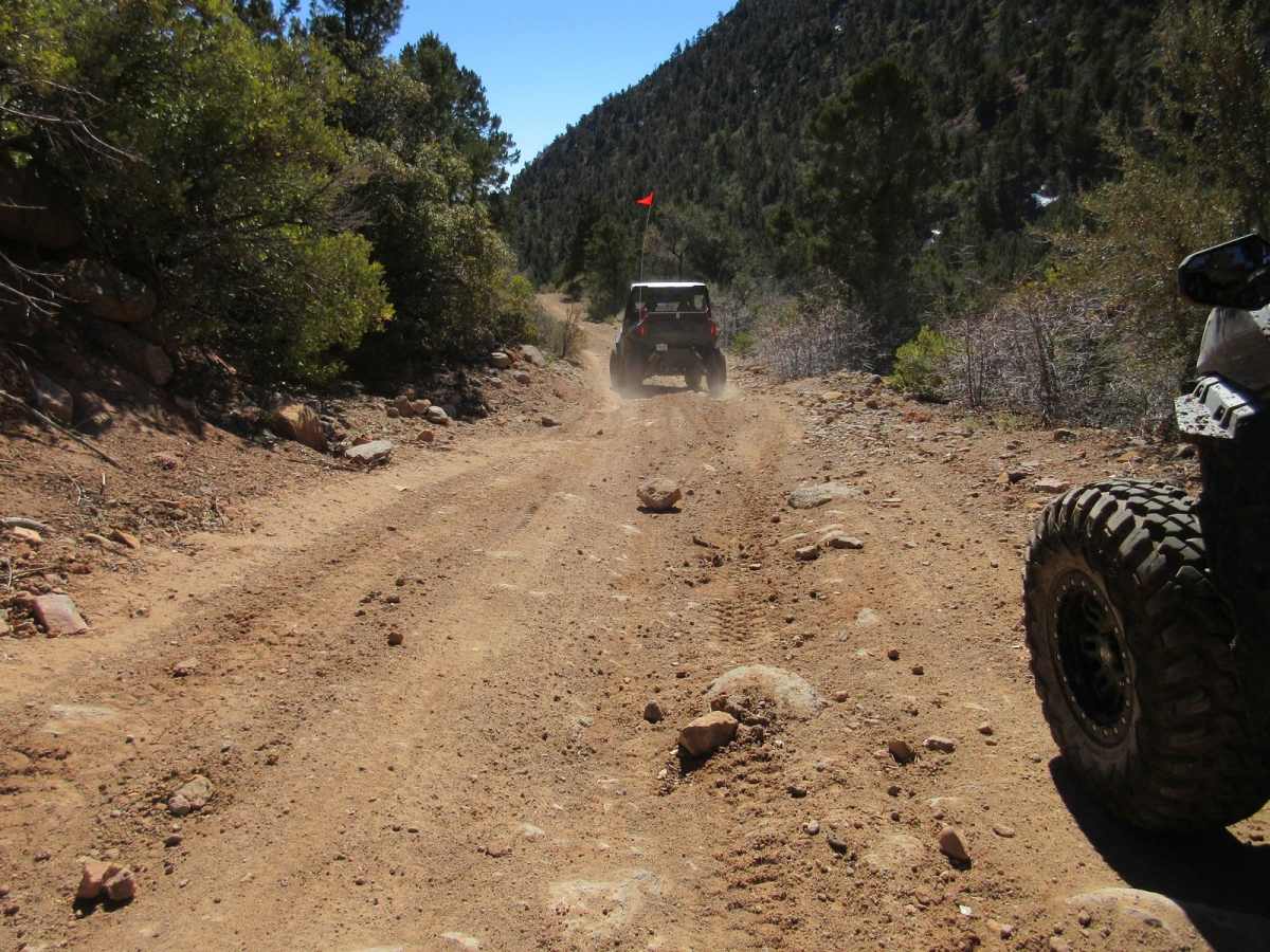 Cottonwood East trail photo