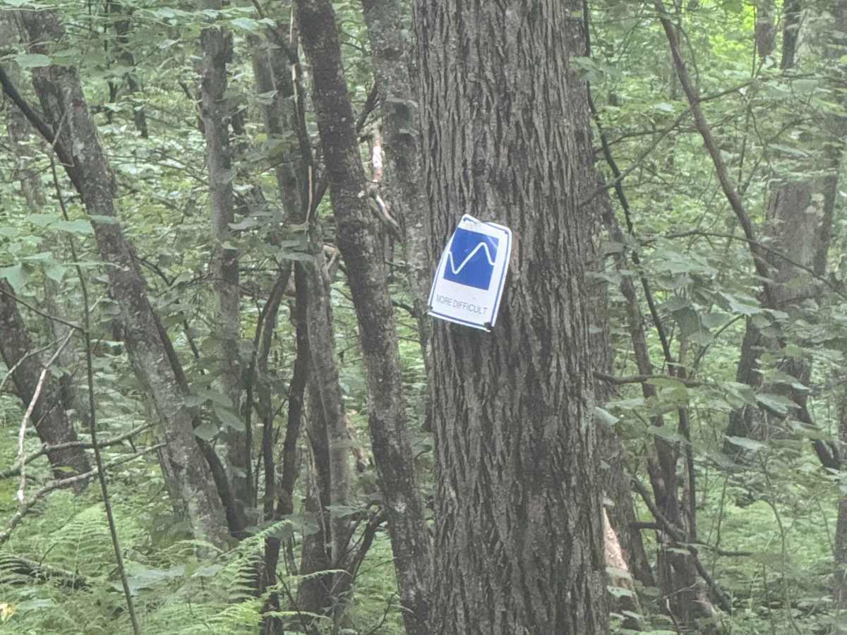 Trail 72 photo 2