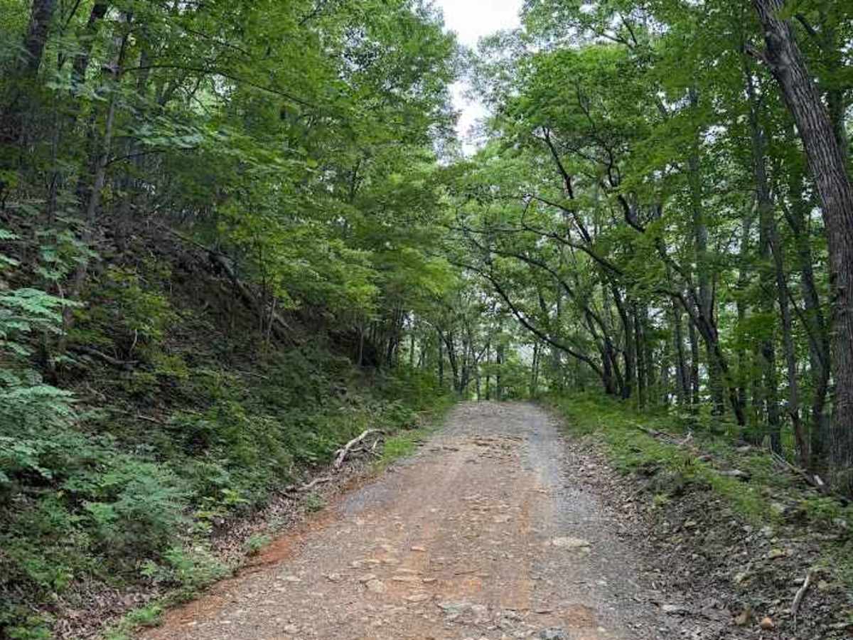 Goff Mountain Road photo 6